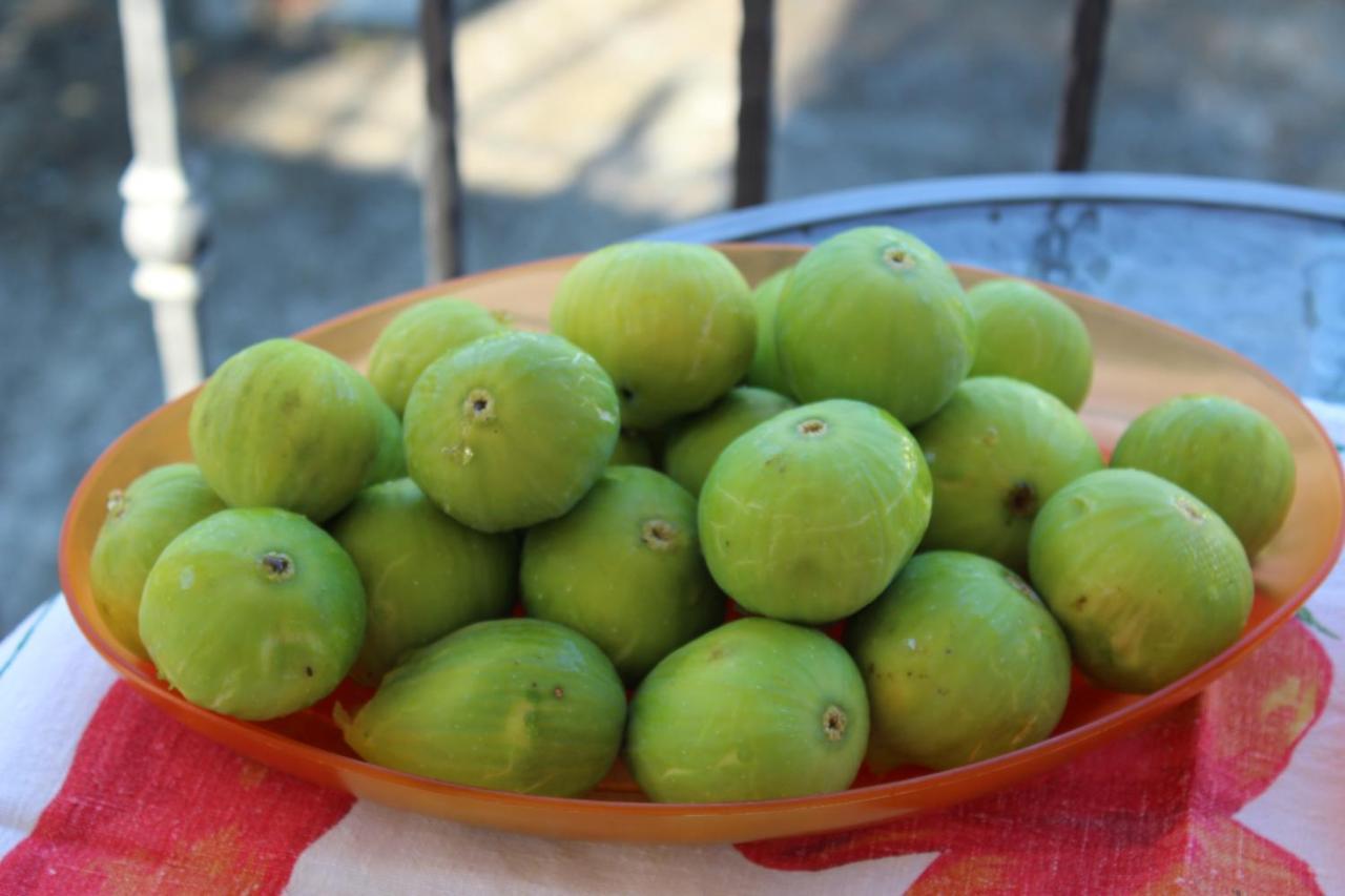 مبيت وإفطار سانتا ماريا ديل سيدرو La Collina المظهر الخارجي الصورة